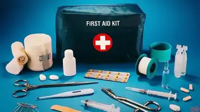 Anmol Tours & Travels Bus-Seats Image