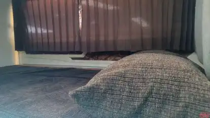 Haridham Travels Bus-Amenities Image