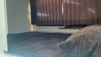 Haridham Travels Bus-Seats Image