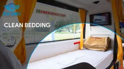 BLUE WHALE TRANSPORT SERVICE Bus-Amenities Image