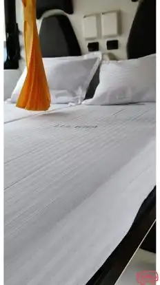 BLUE WHALE TRANSPORT SERVICE Bus-Seats Image