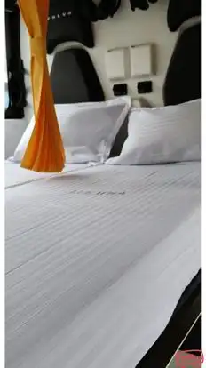 BLUE WHALE TRANSPORT SERVICE Bus-Seats layout Image