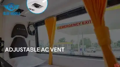 BLUE WHALE TRANSPORT SERVICE Bus-Seats Image