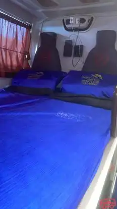 Dolphin  travel  house Bus-Seats Image