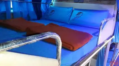 Dolphin  travel  house Bus-Amenities Image