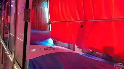 Dolphin  travel  house Bus-Seats Image