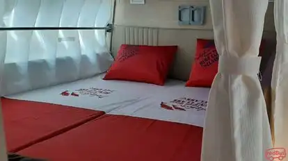 Dolphin  travel  house Bus-Seats Image