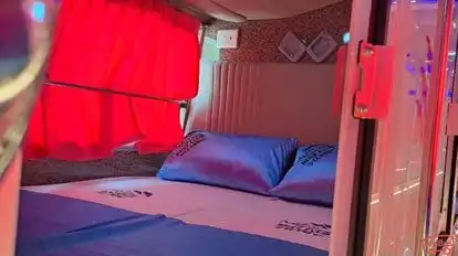Dolphin  travel  house Bus-Seats Image