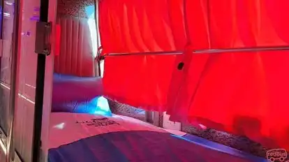 Dolphin  travel  house Bus-Seats Image