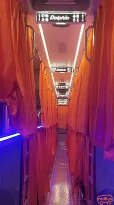 Dolphin  travel  house Bus-Seats layout Image