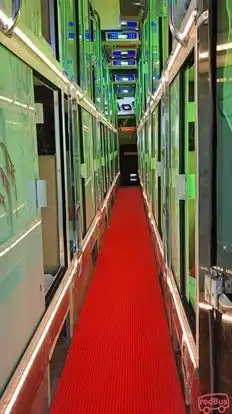 Dolphin  travel  house Bus-Seats layout Image