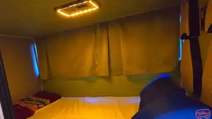 Maharaja Paulo Travels Bus-Seats Image