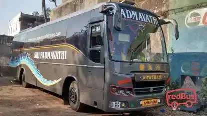 Sri Padmavathi Travels Bus-Seats layout Image