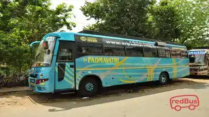 Sri Padmavathi Travels Bus-Seats Image
