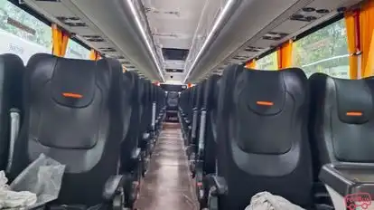 Saini  Travels Pvt. Ltd. Bus-Seats Image