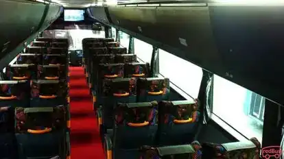 NINI EXPRESS Bus-Seats Image