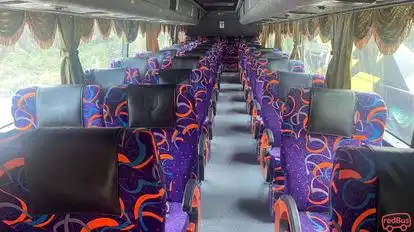 Rhino Airiel Express Bus-Seats Image